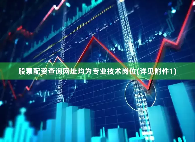 股票配资查询网址均为专业技术岗位(详见附件1)