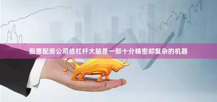 股票配资公司倍杠杆大脑是一部十分精密却复杂的机器