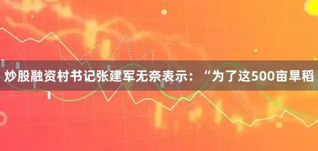 炒股融资村书记张建军无奈表示：“为了这500亩旱稻