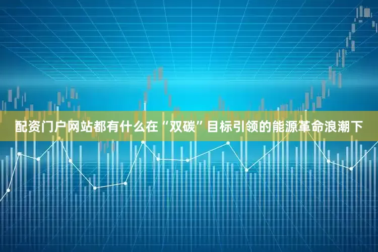 配资门户网站都有什么在“双碳”目标引领的能源革命浪潮下