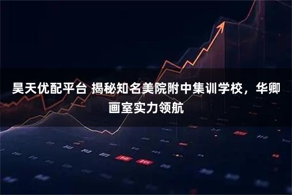 昊天优配平台 揭秘知名美院附中集训学校,华卿画室实力领航
