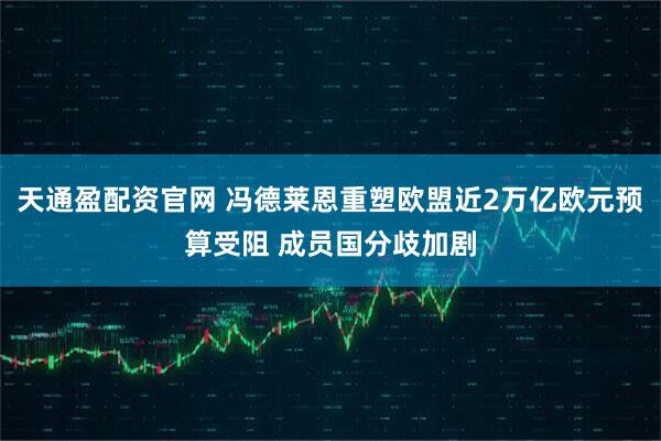 天通盈配资官网 冯德莱恩重塑欧盟近2万亿欧元预算受阻 成员国分歧加剧